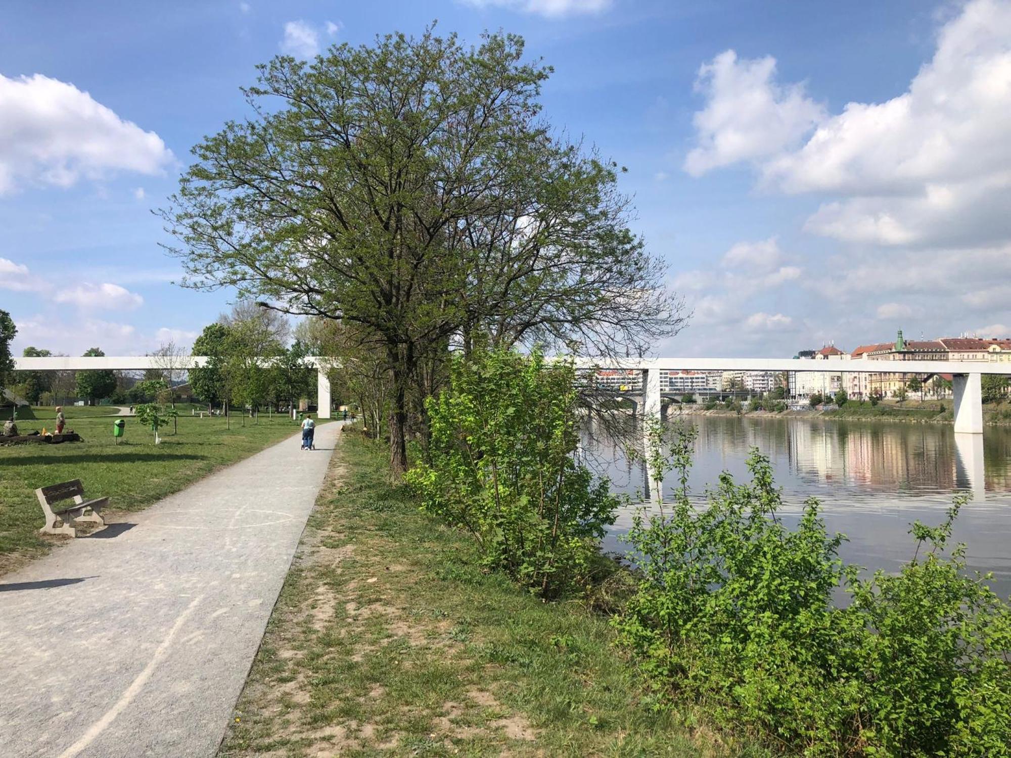 Janlouis Apartament